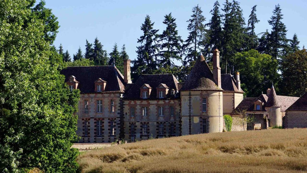 Chateau De La Riviere Pontgouin Екстериор снимка